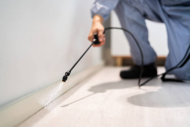 Licensed Rodent Control service in Florence County County, WI - Nex Pest Control